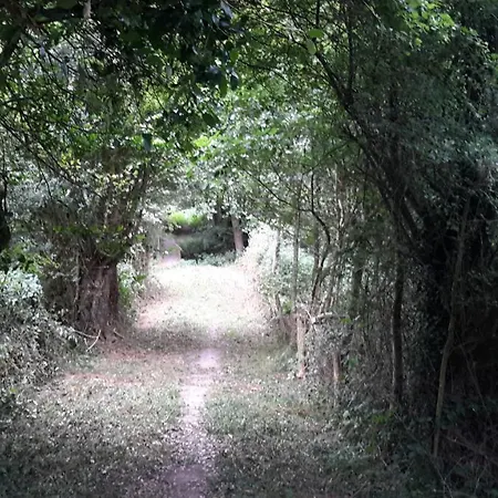 Le Petit Chateau Gasthof Saint-Martin-Saint-Firmin