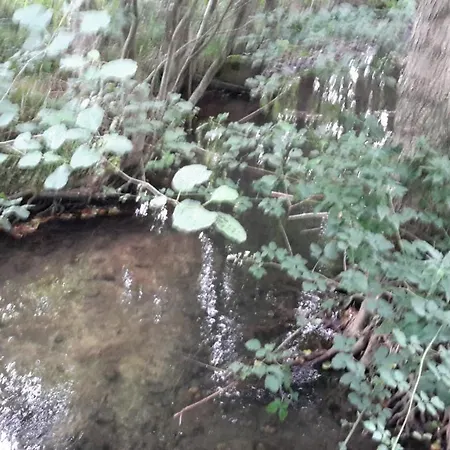 Gasthof Le Petit Chateau