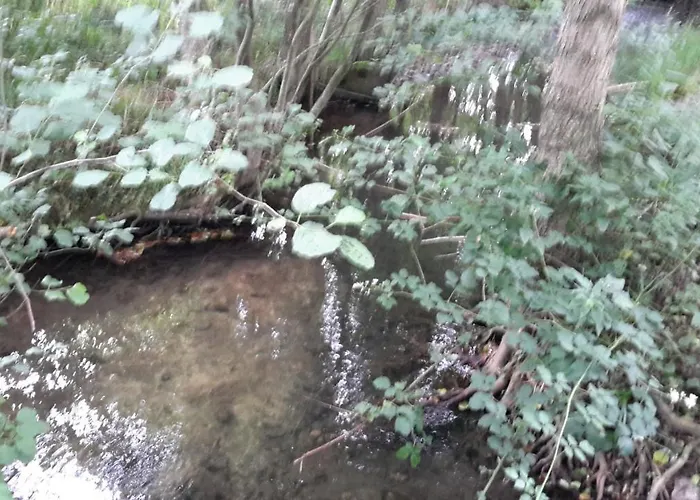 Maison d'hôtes Le Petit Chateau