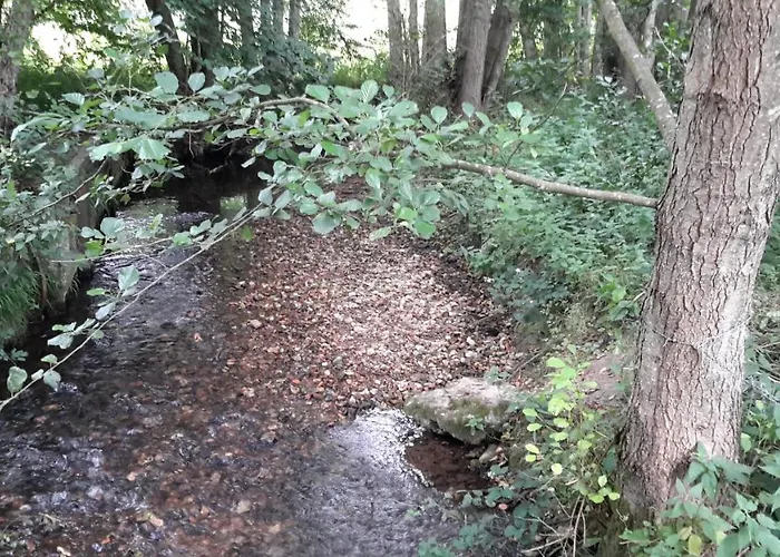 Maison d'hôtes Le Petit Chateau